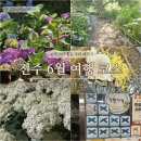 판문동6 | 6월 진주 당일치기 여행 코스 수국부터 맛집까지 5곳 추천