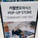 시티오아이스