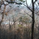 배치농장 이미지