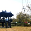 달산3리평촌마을회관 | 2026년 구례 산수유꽃축제 일정 개화상황 주차 셔틀버스 총정리