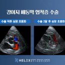 헬릭스동물심장수술센터 이미지