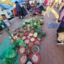 석전동267 이미지