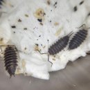 용자농장 이미지