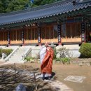 이*도 이미지