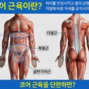 솔레노어 PT STUDIO 이미지