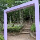 봉우근린공원 공중화장실 | 부천 도당공원 수국동산 다녀왔어요 6월 21일 개화상황 (위치, 주차)
