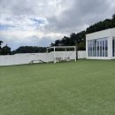 쉬오트애견풀빌라 | 경주 쉬오트 애견 풀빌라 다녀온 내돈내산 후기