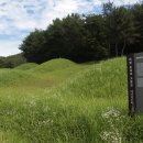 의령 운곡리 고분군 이미지