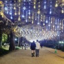 청사1길 | [2025 담양 가을여행] 메타세쿼이아길 단풍 후기🍁 가족 여행 추천! ( 색 보정 X )