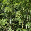 제이ㆍ케이 이미지