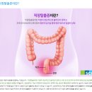 배변 후 항문 이물감과 변실금, 직장탈출증 증상? 이미지