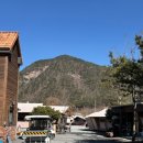 계룡애견 | 천안 두정동 근교 애견동반 놀거리 맛집 실내 데이트 파크오브드림 글램핑