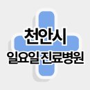 천안시 주말 일요일 진료병원 리스트 (동남구, 서북구)