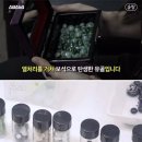 遺骨 accessory 이미지