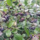 도수농장 이미지