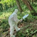 서귀포시동부보건소 이미지