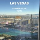 휘트니스 인앤아웃 | 라스베가스 코스모폴리탄 호텔 후기/파운틴뷰 룸업그레이드 내돈내산 신혼여행 숙소 추천