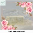 원주시 애견카페 카페도즈오프 가격 및 후기 추천 리뷰 주차 예약 알아볼까요