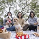 하늘하개 이미지