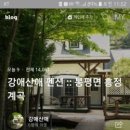 강애산애 이미지