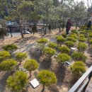 선택목장 이미지