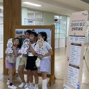 강정초등학교 이미지