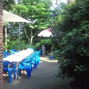 나리와꽃창포 이미지