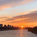 아양로8길 | 26년 1월 일상 🍓｡･ﾟ