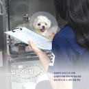24시노아동물메디컬센터 이미지