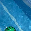 별아래 풀빌라 이미지