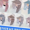 성광 이미지