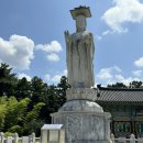 마디다래쉬