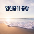 건일중기 | 직접겪은 임신중기 증상들