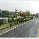 군자중학교 이미지