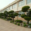 북후초등학교 이미지