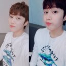 제이콥 Daum카페