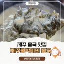 하모리-14 이미지