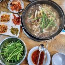안암역 고대 맛집 한방닭한마리 닭한마리호정