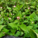 지곡천 산책로 이미지