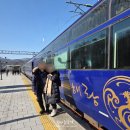 씨월드 관광호텔 | 부모님 환갑 효도여행 기차여행 : 해랑열차 2박3일 내돈내산 솔직후기