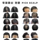 픽스칼프 이미지