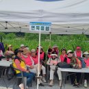 누구나 신선놀음…강남구 탄천 파크골프장, 생활체육 중심지로 이미지