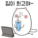 멍&냥 이미지