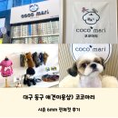 코코 반려견샵 | 대구 동구 애견미용샵) 깔끔하고 꼼꼼하게 반려견 전체컷을 해주는 &#39;코코마리&#39; 추천해요 핸드메이드...