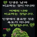 인사말 이미지 1.15(수요일) 이미지