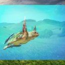 물치해수욕장 화장실 이미지