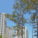 전단지배포베스트 - 광명시 하안로 60 | 전단지배포베스트