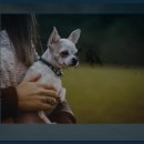 대신주말농장 정보화마을 이미지