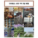 다이벌스 이미지