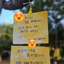 부산대부설어린이집 이미지